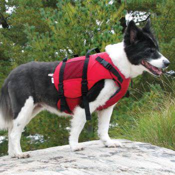 Baltic Pet Buoyancy Aid Pet Float 40+Kg Cats / Dogs Lifejacket 